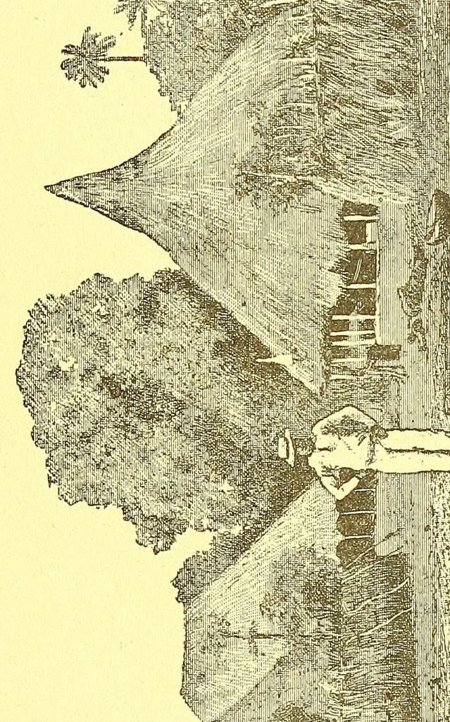 An illustration from La France au pays noir, 1893, leaf 63