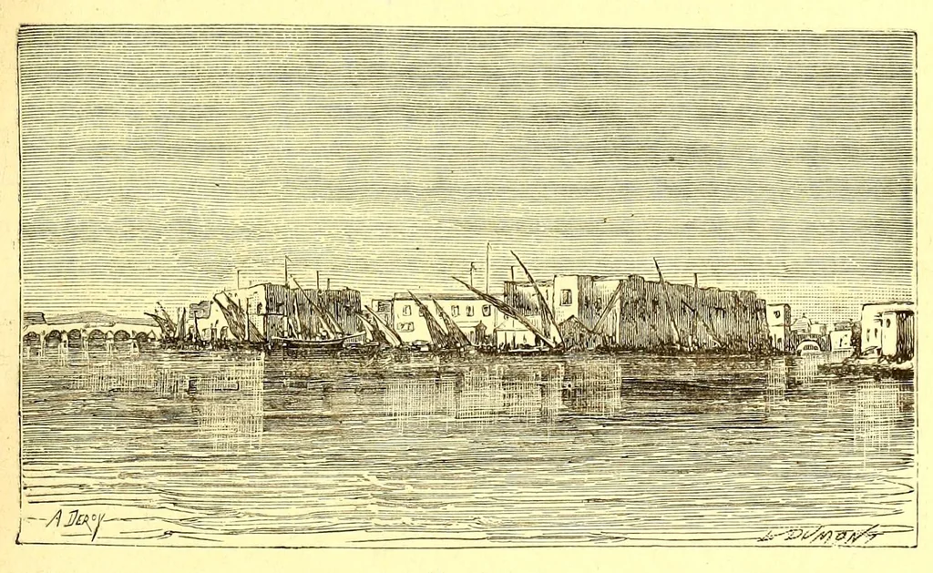 An illustration from La France coloniale illustrée : l'Algérie et les autres colonies françaises considerées au point de vue historique, géographique, ethnographique et commercial, 1895, leaf 119