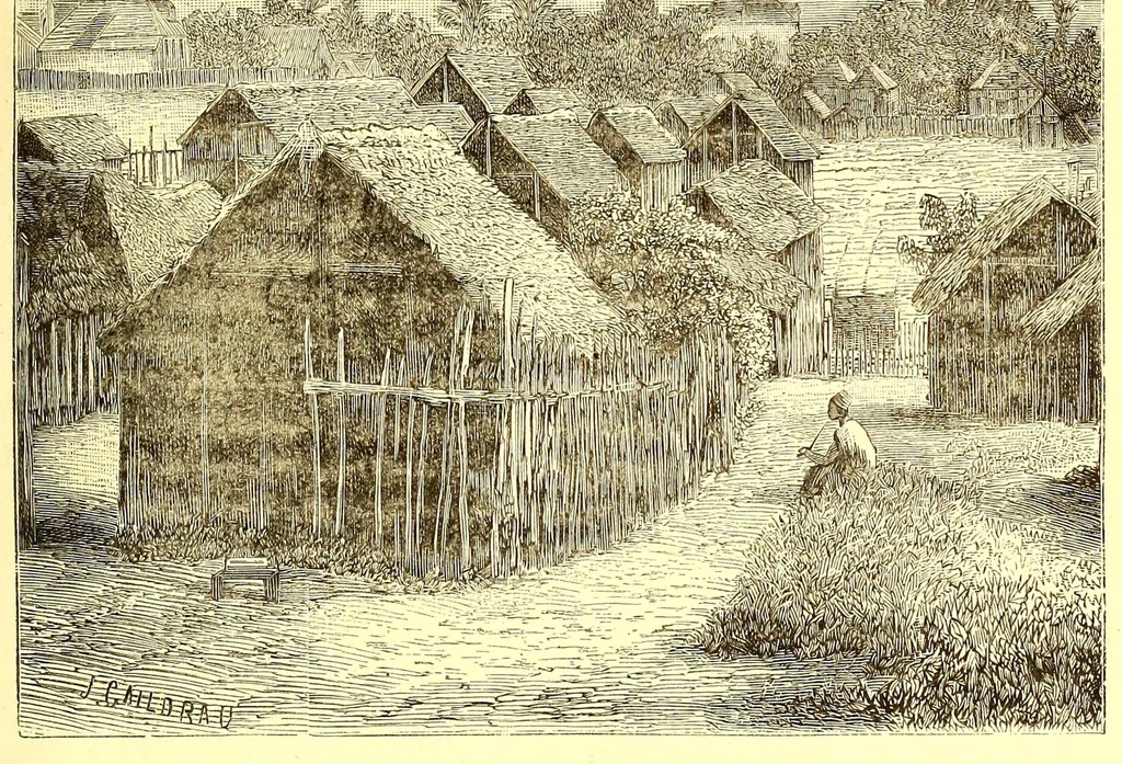 An illustration from La France coloniale illustrée : l'Algérie et les autres colonies françaises considerées au point de vue historique, géographique, ethnographique et commercial, 1895, leaf 257