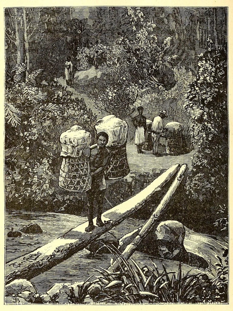 An illustration from La France coloniale illustrée : l'Algérie et les autres colonies françaises considerées au point de vue historique, géographique, ethnographique et commercial, 1895, leaf 268