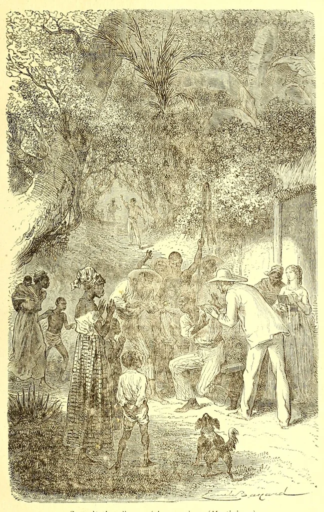 An illustration from La France coloniale illustrée : l'Algérie et les autres colonies françaises considerées au point de vue historique, géographique, ethnographique et commercial, 1895, leaf 355