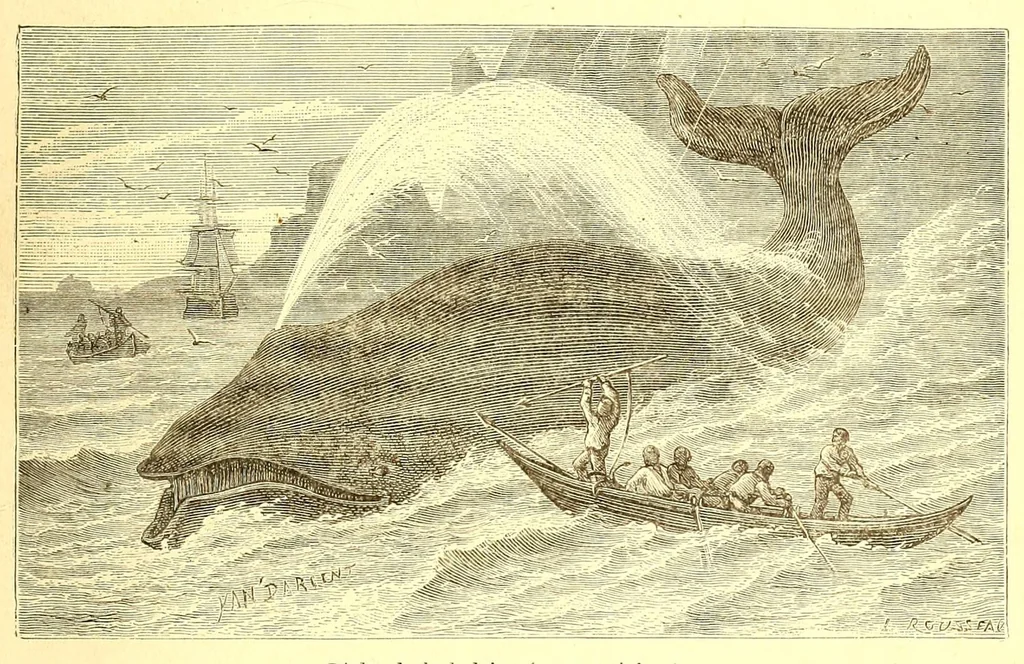 An illustration from La France coloniale illustrée : l'Algérie et les autres colonies françaises considerées au point de vue historique, géographique, ethnographique et commercial, 1895, leaf 367
