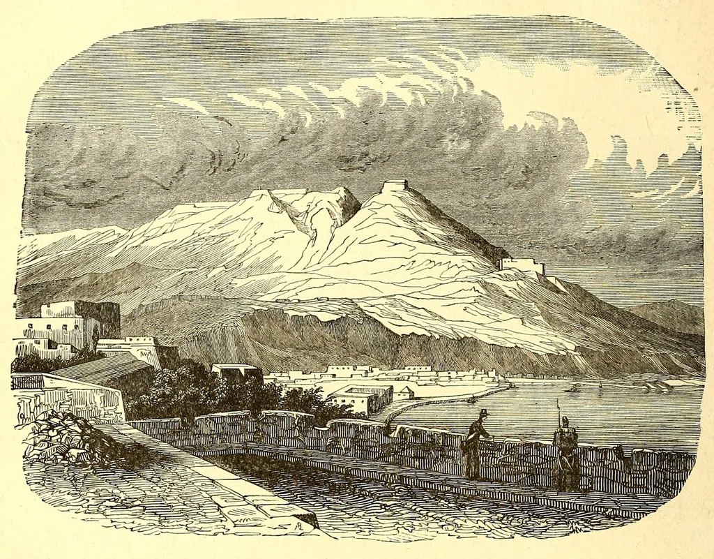 An illustration from La France coloniale illustrée : l'Algérie et les autres colonies françaises considerées au point de vue historique, géographique, ethnographique et commercial, 1895, leaf 68