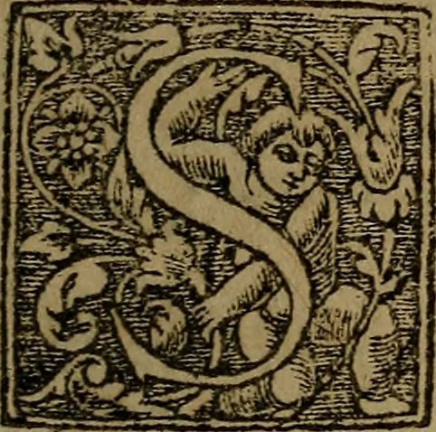 An illustration from La France restablie a la naissance dv Prince Davphin. Dedié à la Royne, 1601, leaf 20