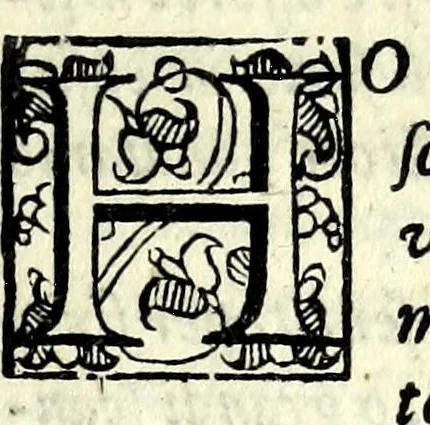 An illustration from La fravde : comedia nvova, 1597, leaf 111