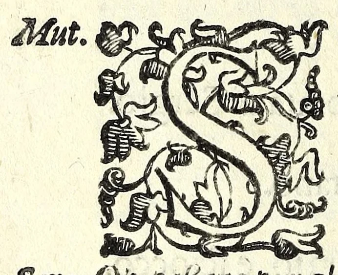An illustration from La fravde : comedia nvova, 1597, leaf 12