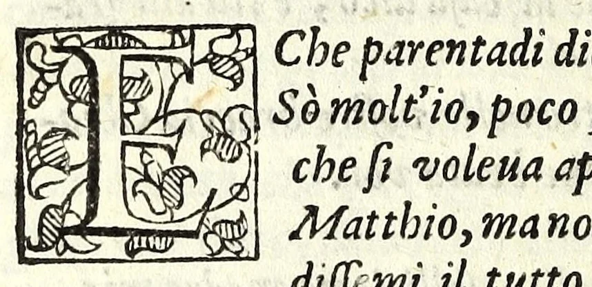 An illustration from La fravde : comedia nvova, 1597, leaf 28