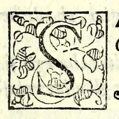 An illustration from La fravde : comedia nvova, 1597, leaf 45