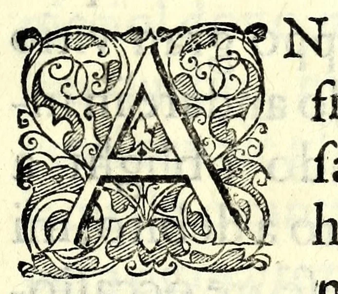 An illustration from La fravde : comedia nvova, 1597, leaf 5