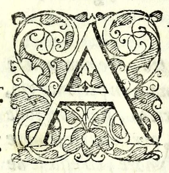 An illustration from La fravde : comedia nvova, 1597, leaf 51