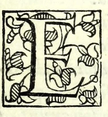 An illustration from La fravde : comedia nvova, 1597, leaf 65