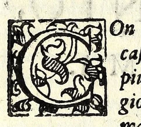 An illustration from La fravde : comedia nvova, 1597, leaf 98