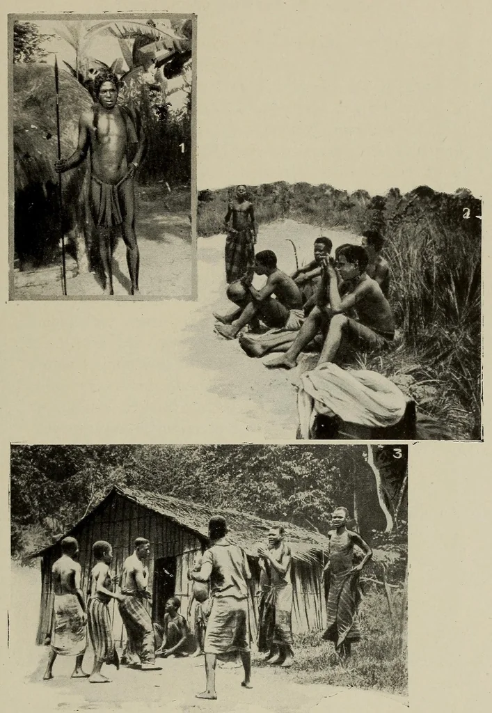 An illustration from L'Afrique equatoriale illustrée, 1913, leaf 125