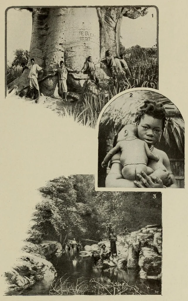 An illustration from L'Afrique equatoriale illustrée, 1913, leaf 137
