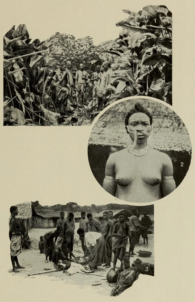 An illustration from L'Afrique equatoriale illustrée, 1913, leaf 149