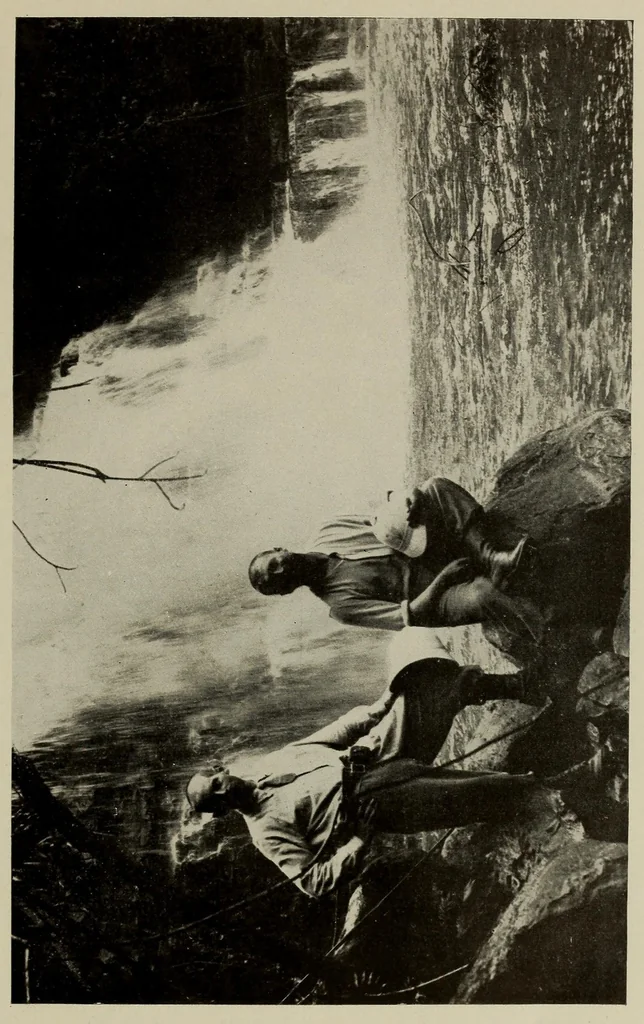 An illustration from L'Afrique equatoriale illustrée, 1913, leaf 173