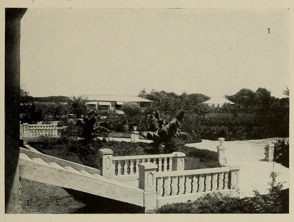 An illustration from L'Afrique equatoriale illustrée, 1913, leaf 25