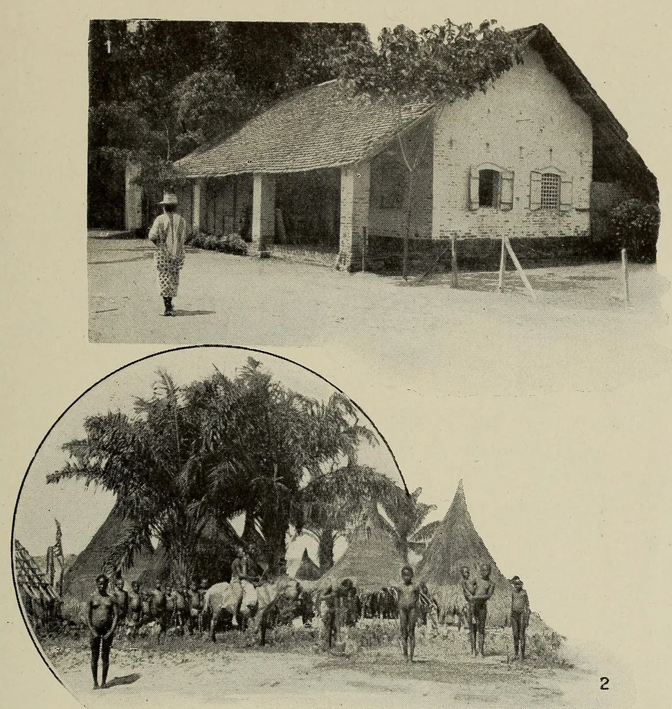 An illustration from L'Afrique equatoriale illustrée, 1913, leaf 41