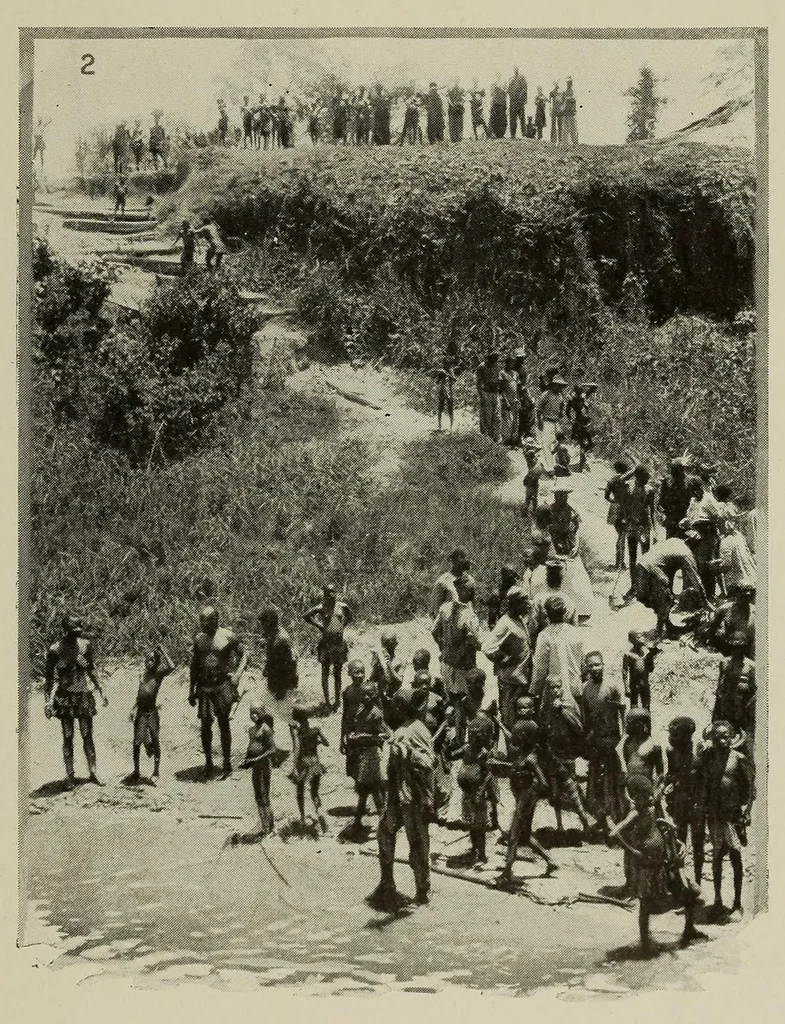 An illustration from L'Afrique equatoriale illustrée, 1913, leaf 85