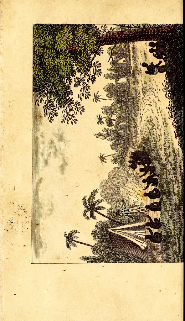 An illustration from L'Afrique, ou Histoire, moeurs, usages et coutumes des africains : le Sénégal, 1814, leaf 14