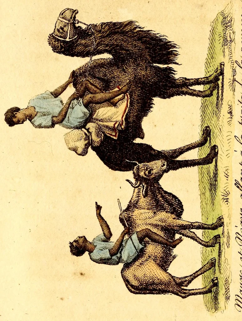 An illustration from L'Afrique, ou Histoire, moeurs, usages et coutumes des africains : le Sénégal, 1814, leaf 166