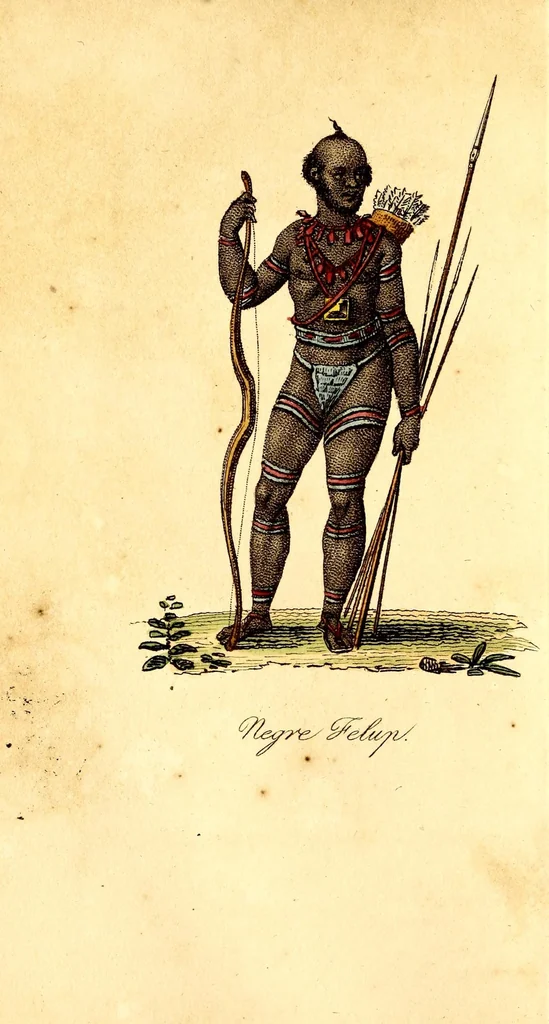 An illustration from L'Afrique, ou Histoire, moeurs, usages et coutumes des africains : le Sénégal, 1814, leaf 10