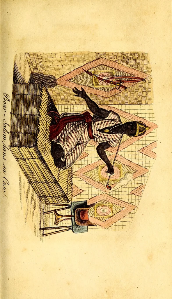 An illustration from L'Afrique, ou Histoire, moeurs, usages et coutumes des africains : le Sénégal, 1814, leaf 179