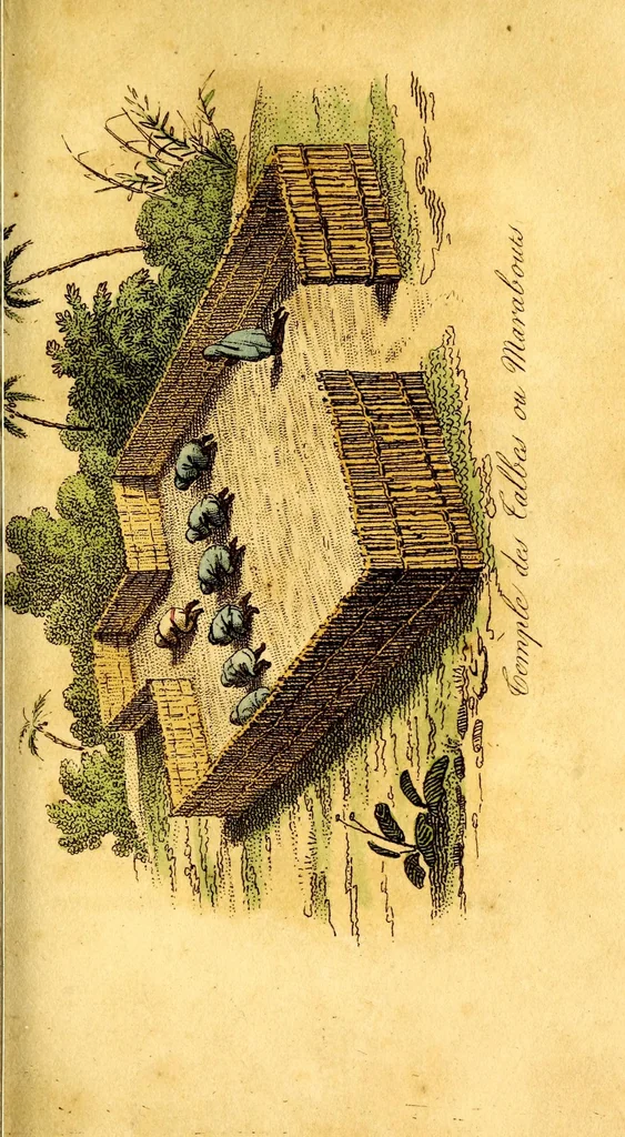 An illustration from L'Afrique, ou Histoire, moeurs, usages et coutumes des africains : le Sénégal, 1814, leaf 121