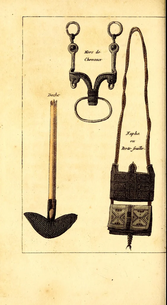An illustration from L'Afrique, ou Histoire, moeurs, usages et coutumes des africains : le Sénégal, 1814, leaf 208