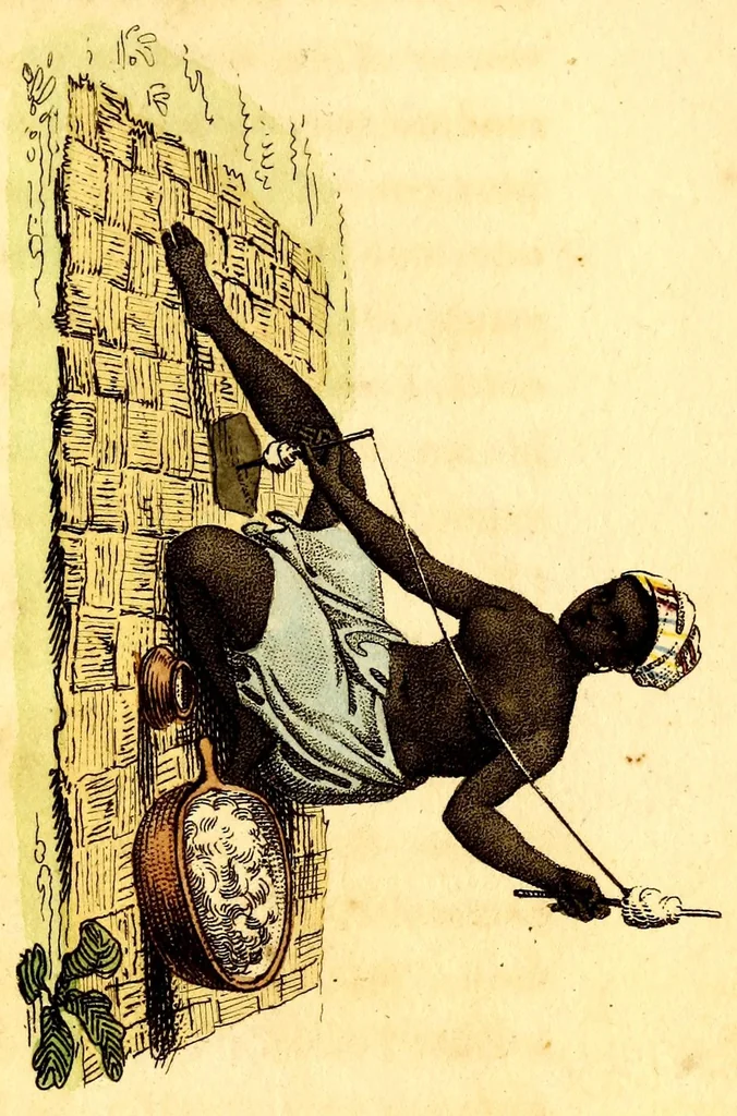 An illustration from L'Afrique, ou Histoire, moeurs, usages et coutumes des africains : le Sénégal, 1814, leaf 221