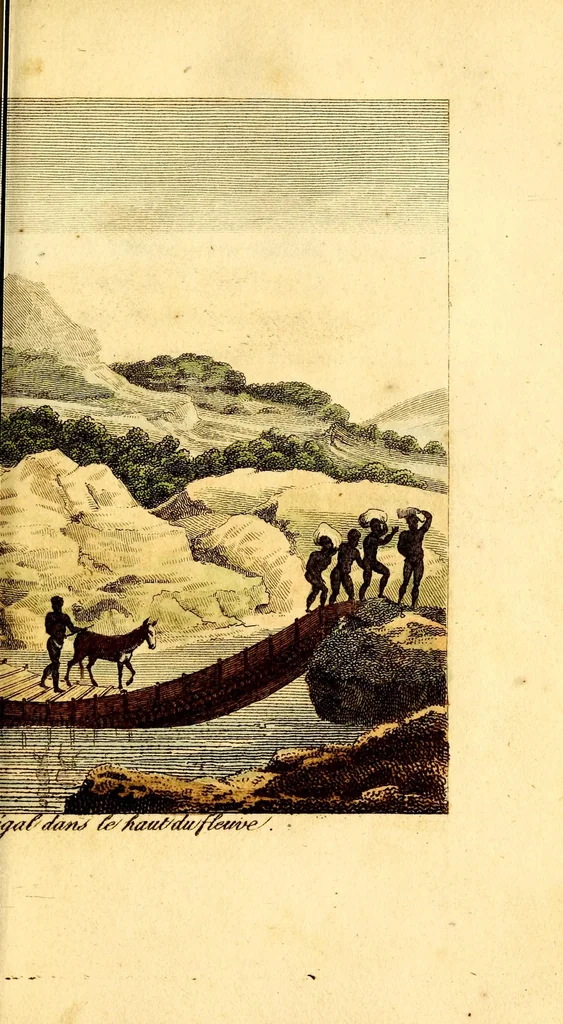 An illustration from L'Afrique, ou Histoire, moeurs, usages et coutumes des africains : le Sénégal, 1814, leaf 233