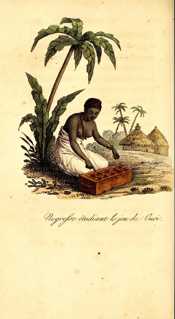An illustration from L'Afrique, ou Histoire, moeurs, usages et coutumes des africains : le Sénégal, 1814, leaf 254