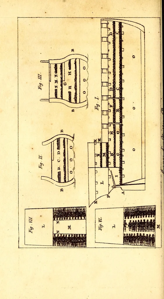 An illustration from L'Afrique, ou Histoire, moeurs, usages et coutumes des africains : le Sénégal, 1814, leaf 74
