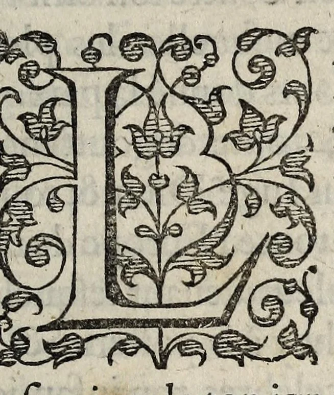 An illustration from La fvlminante povr fev tres-grand et treschrestien prince Henry III. Roy de France & de Polongne. Contre Sixte V. soy disant Pape de Rome, & les rebelles de la France., 1590, leaf 17