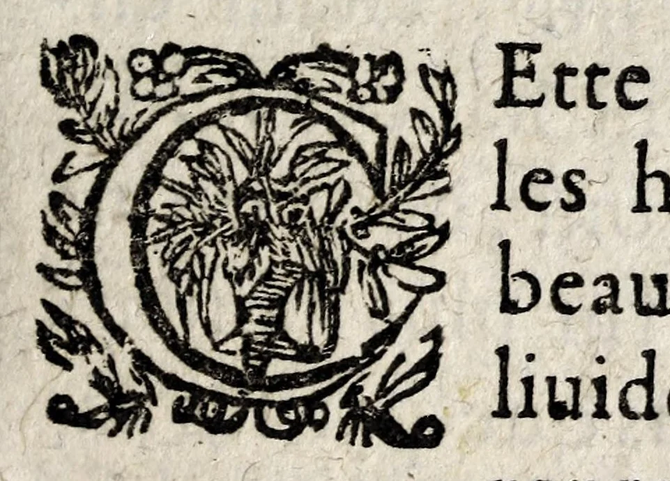 An illustration from La galerie ou les tableaux des dames illustres, 1642, leaf 233