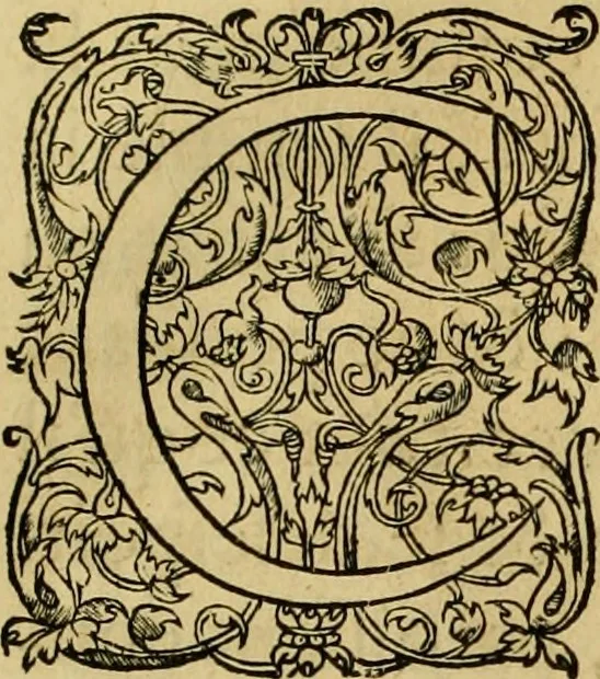 An illustration from La gallerie des femmes fortes, 1647, leaf 100