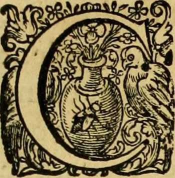 An illustration from La gallerie des femmes fortes, 1647, leaf 176