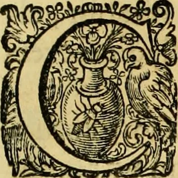 An illustration from La gallerie des femmes fortes, 1647, leaf 194