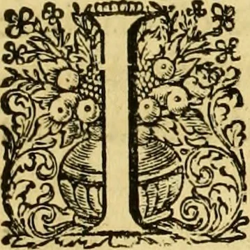 An illustration from La gallerie des femmes fortes, 1647, leaf 244