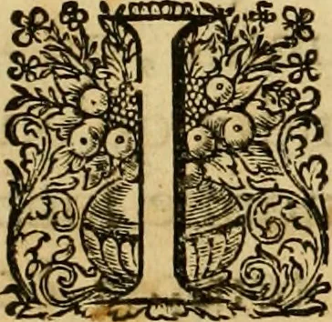 An illustration from La gallerie des femmes fortes, 1647, leaf 299