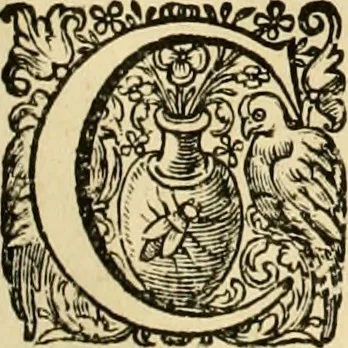 An illustration from La gallerie des femmes fortes, 1647, leaf 341