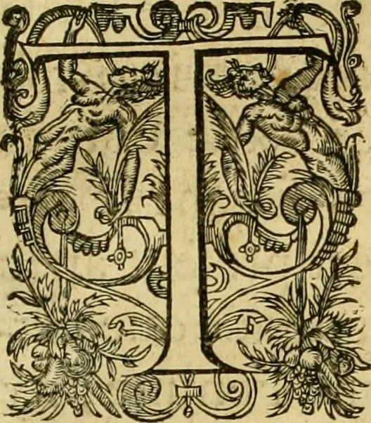 An illustration from La gallerie des femmes fortes, 1647, leaf 354