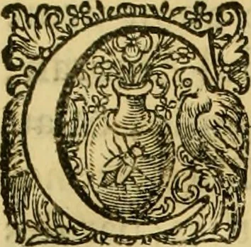 An illustration from La gallerie des femmes fortes, 1647, leaf 432