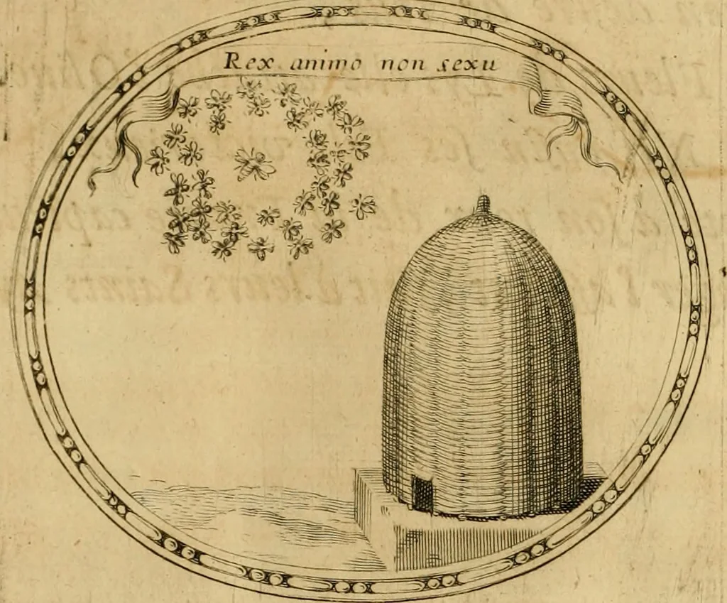 An illustration from La gallerie des femmes fortes, 1647, leaf 45