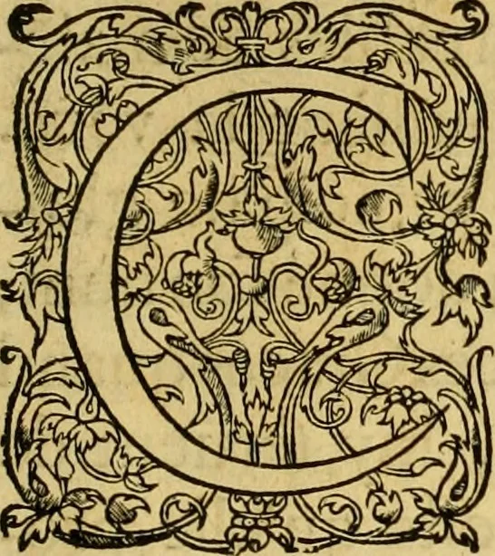 An illustration from La gallerie des femmes fortes, 1647, leaf 76