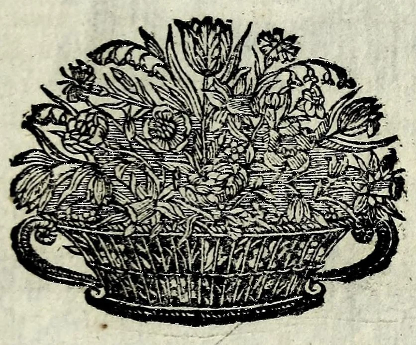 An illustration from La gallerie des femmes fortes, 1665, leaf 241