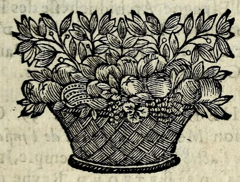 An illustration from La gallerie des femmes fortes, 1665, leaf 89