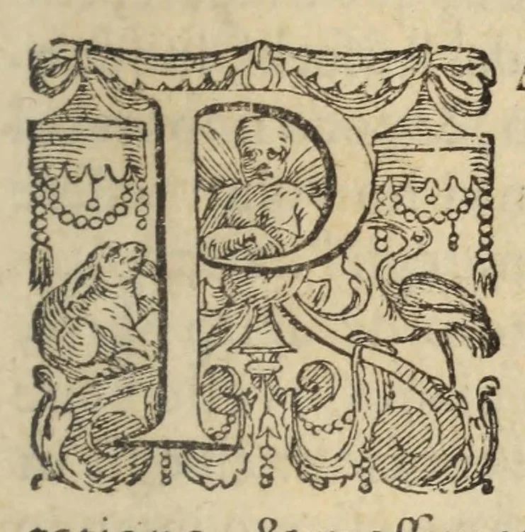 An illustration from La geografia di Claudio Tolomeo Alessandrino, 1574, leaf 13
