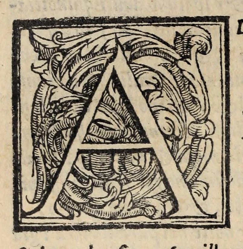 An illustration from La geografia di Claudio Tolomeo Alessandrino, 1574, leaf 434
