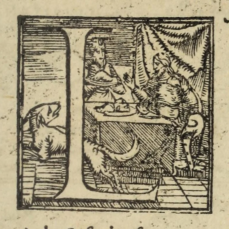 An illustration from La geografia di Claudio Tolomeo Alessandrino, 1574, leaf 625